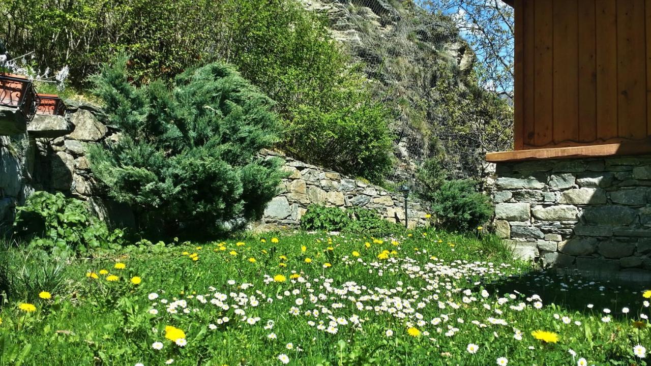 Il Rifugio Della Volpe Leilighet Introd Eksteriør bilde